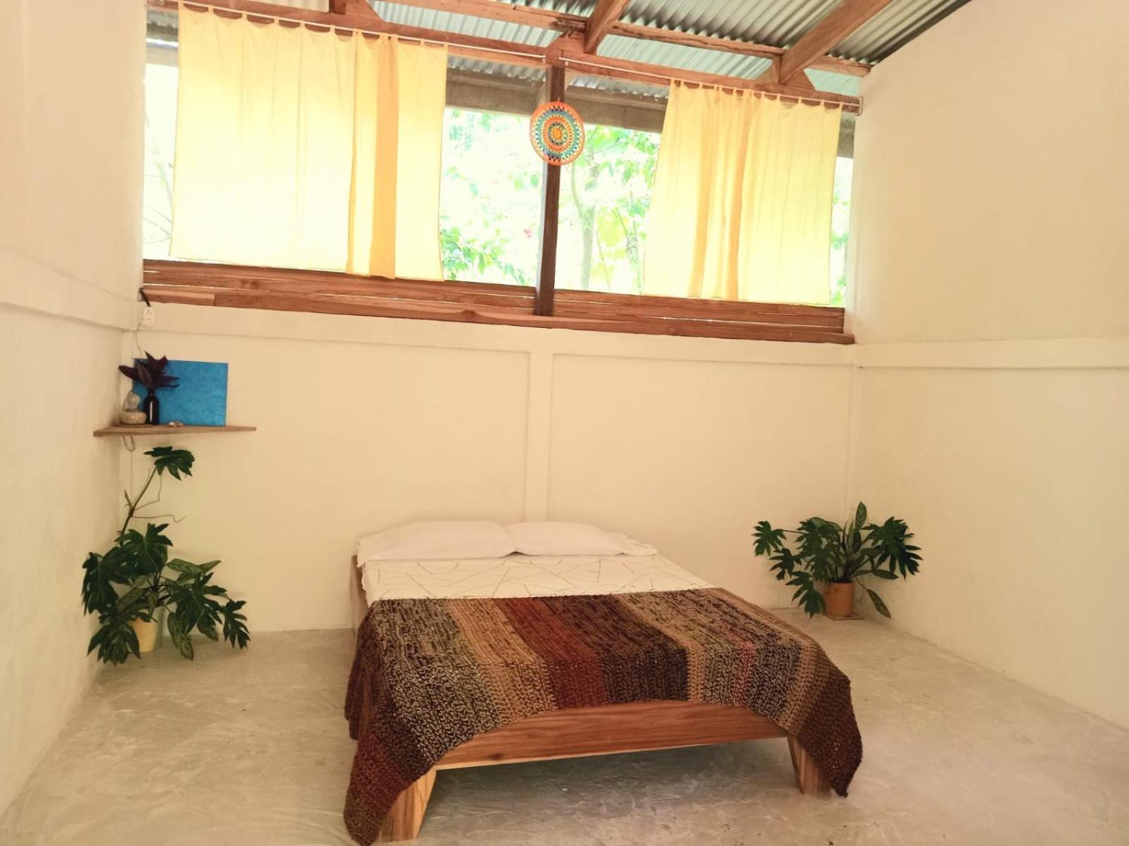 Smile Jungle Hostel Puerto Viejo de Talamanca Zewnętrze zdjęcie
